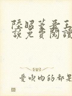 陆昭菱晋王的小说免费阅读