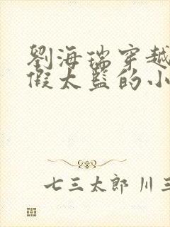 刘海瑞穿越后宫假太监的小说