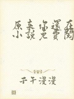原来你还在这里小说免费阅读