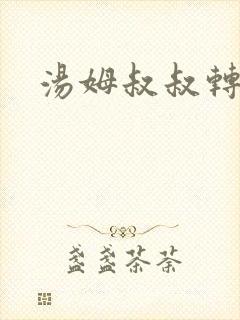 汤姆叔叔转接口