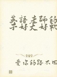 英语老师的小兔子好大好软水