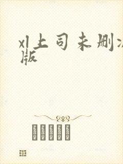 xl上司未删减版