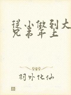 从小做到大骨科兄弟年上