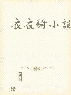 夜夜骑小说