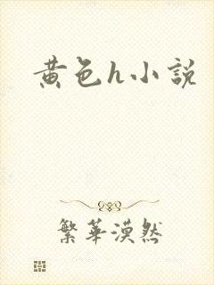黄色h小说