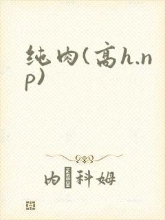 纯肉(高h.np)