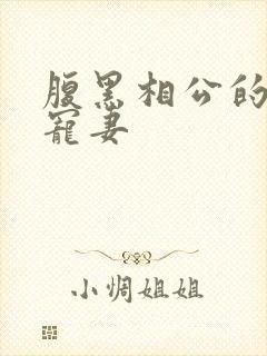 腹黑相公的庶女宠妻