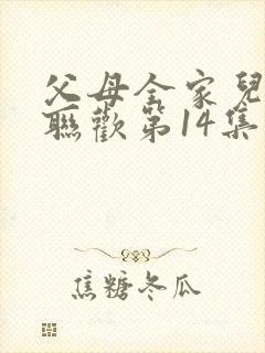 父母全家儿女大联欢第14集