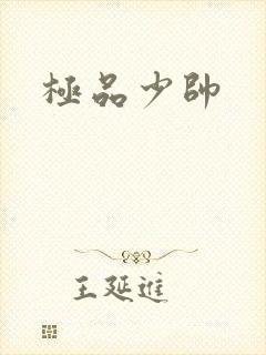 极品少帅