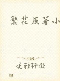 繁花原著小说