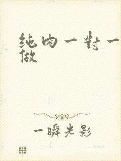 纯肉一对一到处做
