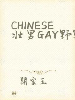 CHINESE壮男GAY野战强迫TUBE