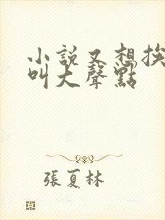 小说又想挨C了叫大声点