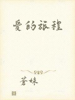 爱的旅程