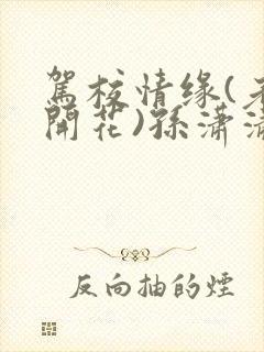 驾校情缘(老树开花)孙潇潇第一次趣笔阁