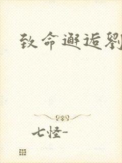 致命邂逅刘小寐