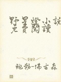 野星灯小说全文免费阅读