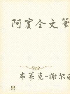 阿宾全文笔趣阁