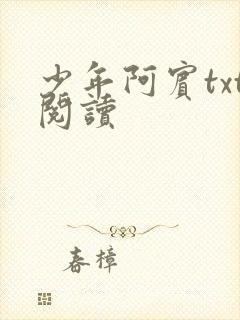 少年阿宾txt阅读