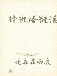 玲珑塔糙汉租客