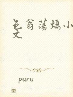 色翁荡熄小说全文