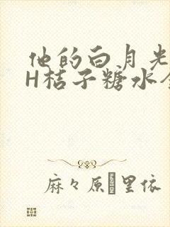 他的白月光HVH桔子糖水全文