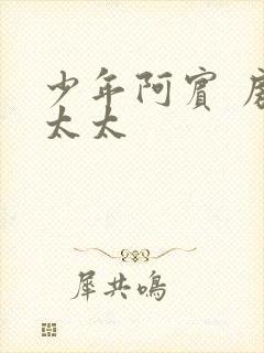 少年阿宾 房东太太