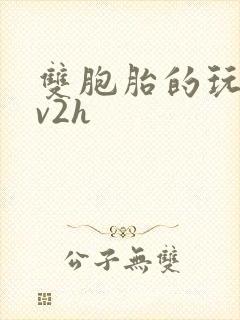 双胞胎的玩具1v2h