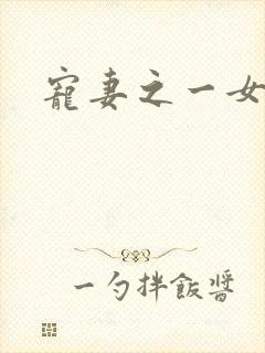 宠妻之一女二夫