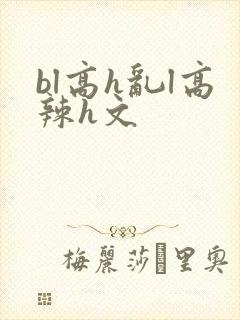 bl高h乱l高辣h文