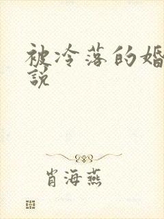 被冷落的婚姻小说