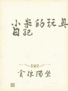 小米的玩具羞辱日记