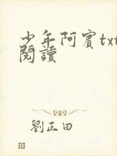 少年阿宾txt阅读