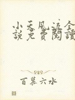 小天风流全集小说免费阅读