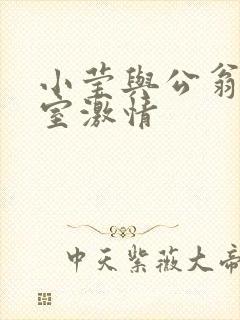 小莹与公翁办公室激情