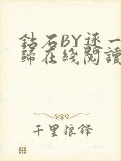 钻石BY逐一而归在线阅读