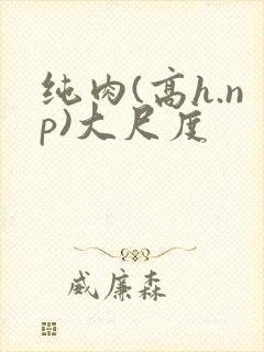纯肉(高h.np)大尺度