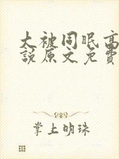 大被同眠高粱小说原文免费阅读