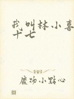 我叫林小喜今年十七