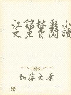 江铭林熙小说全文免费阅读