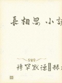 长相思 小说