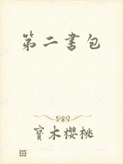 第二书包
