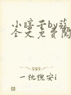 小瞎子by苏软全文免费阅读