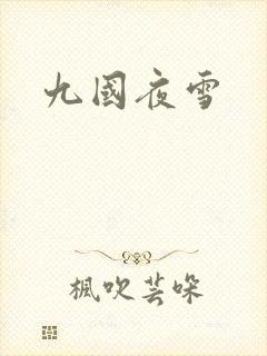 九国夜雪