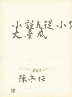 小说h从小做到大养成