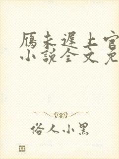 雁未迟上官穿越小说全文免费阅读