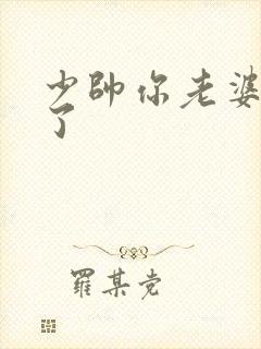 少帅你老婆又跑了