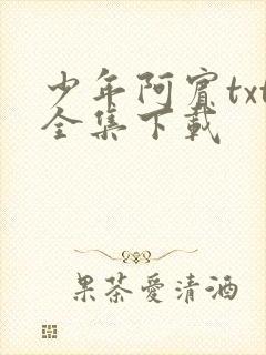 少年阿宾txt全集下载