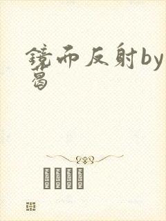 镜面反射by九葛