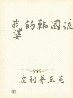 我的韩国流氓老婆